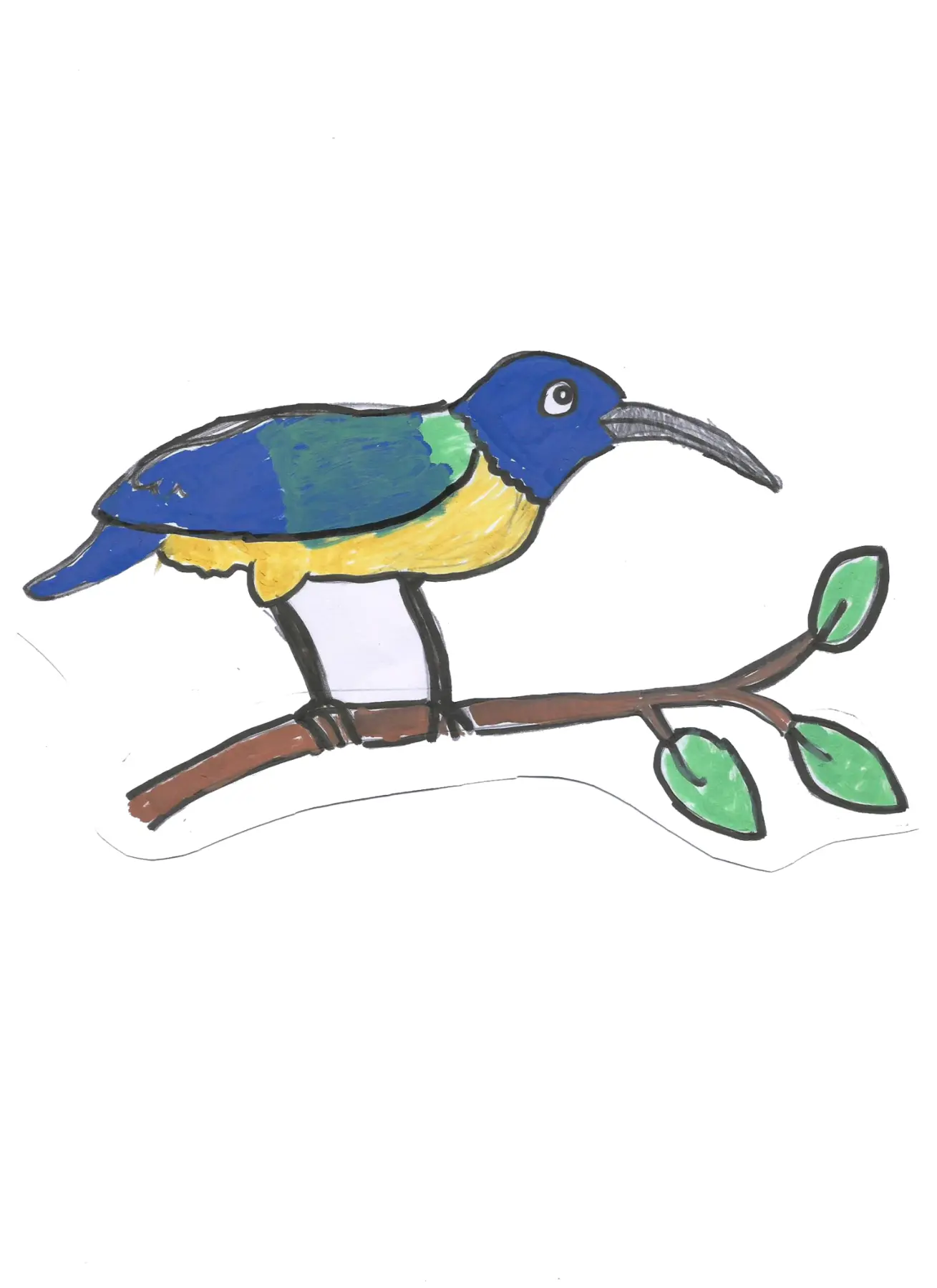 Sunbird